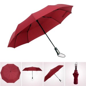 Dollshouse 60MPH Windproof Umbrella 10 Ribs Compact Travel Umbrella Auto Open Close Umbrellas